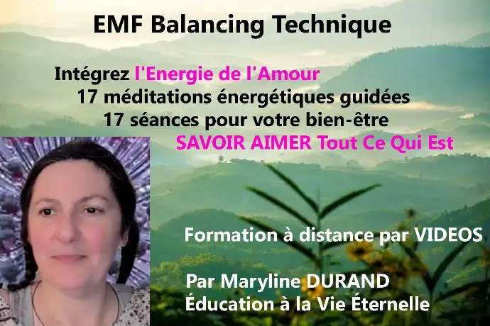 EMF balancing technique * 17 séances 