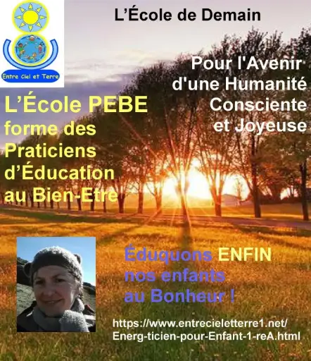 Formation PEBE en présence Stage d'été