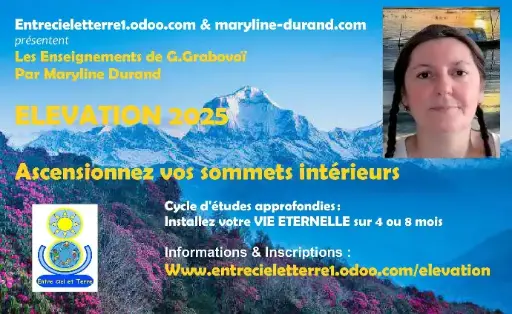 Formation EVE - Elevation 2023 - Forfait 4 textes (copie)