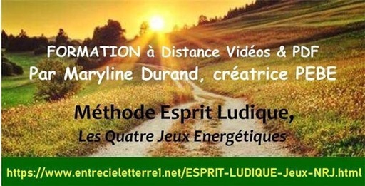  Esprit Ludique - Module 4 PEBE (à distance)